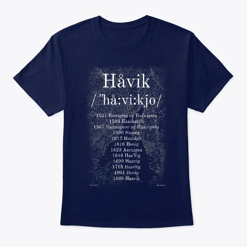 Håvik