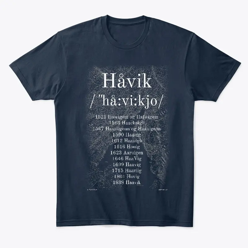 Håvik